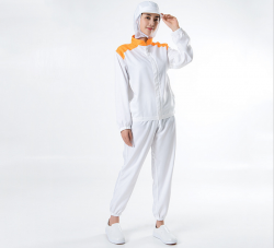 大连食品91看片淫黄大片厂家